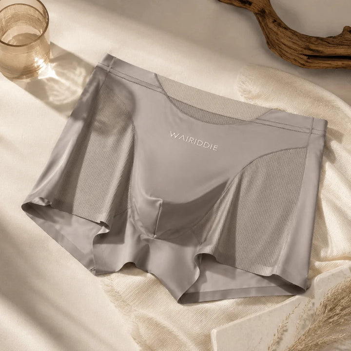 ZeroCore™ Ice Silk Brief Set