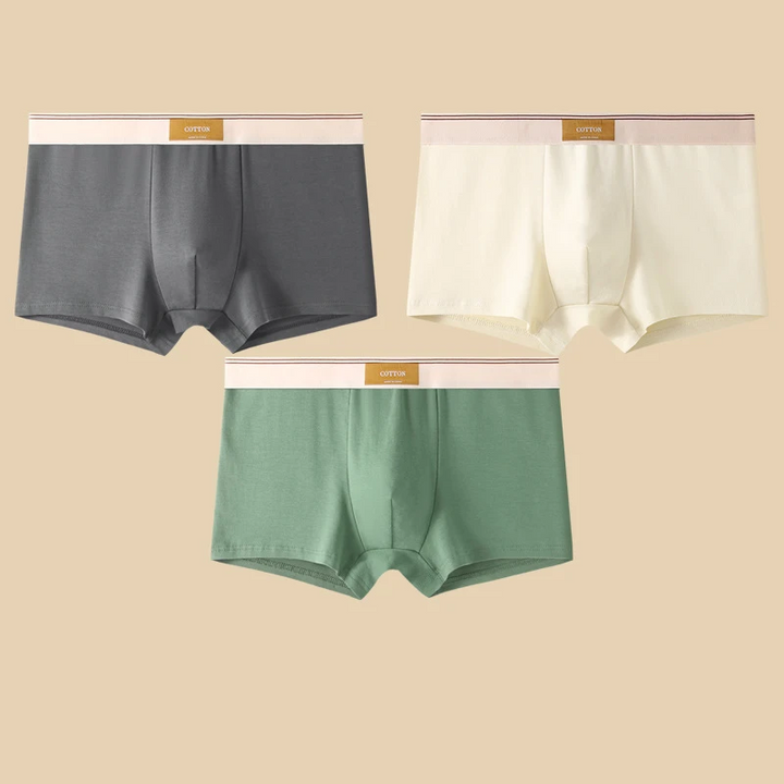 Cotton Theory Boxer Brief Set