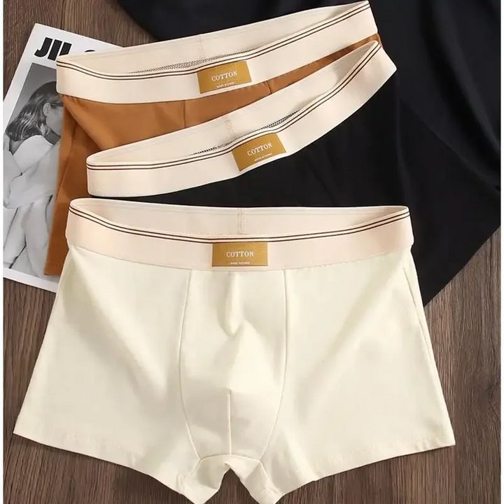 Cotton Theory Boxer Brief Set