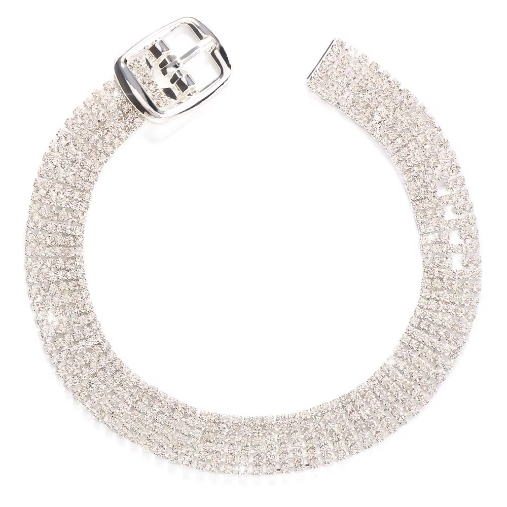 Starlit Buckle Anklet