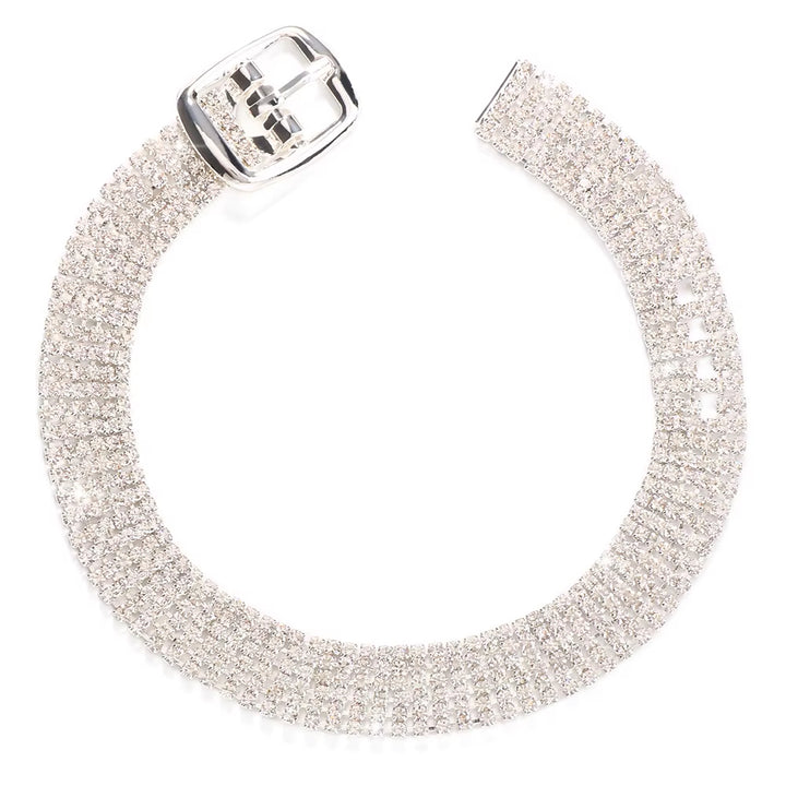 Starlit Buckle Anklet